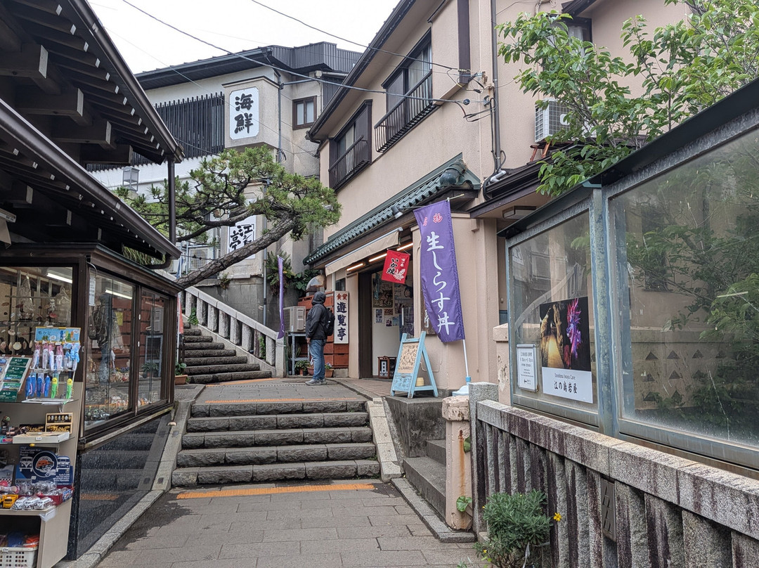Oiwayado Street-藤泽市必去景点