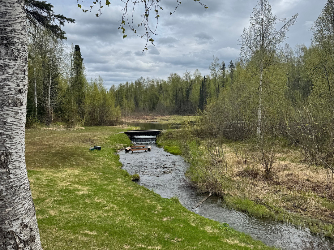 Alaska Wilderness Adventure - Talkeetna Atv Tours-塔尔基特纳必去景点