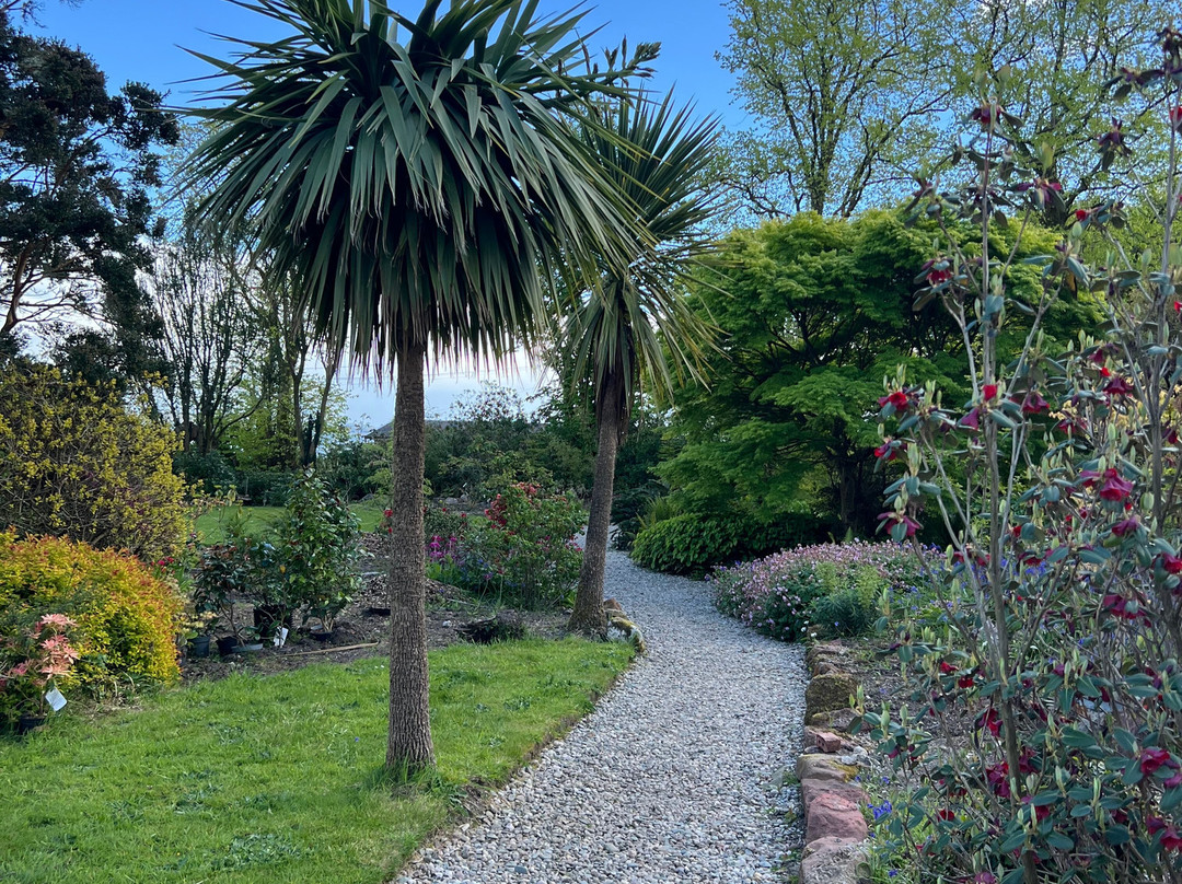 Ascog Hall Fernery and Garden-Ascog必去景点