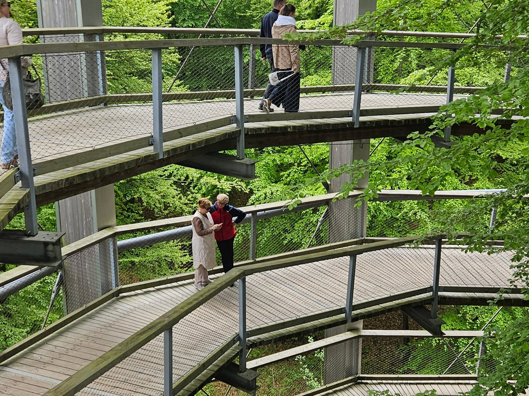 Baumwipfelpfad im Naturerbe Zentrum Rügen-奥茨巴德宾兹必去景点