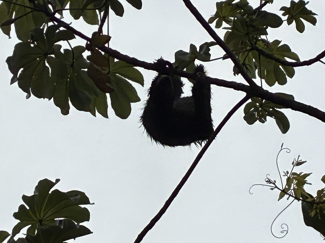 Panama Day Trips- Canal Eco Tours-巴拿马城必去景点