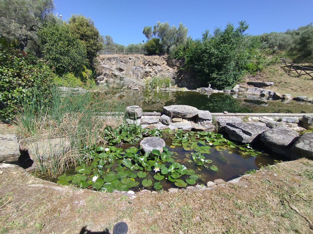Isola Polvese-Castiglione del Lago必去景点