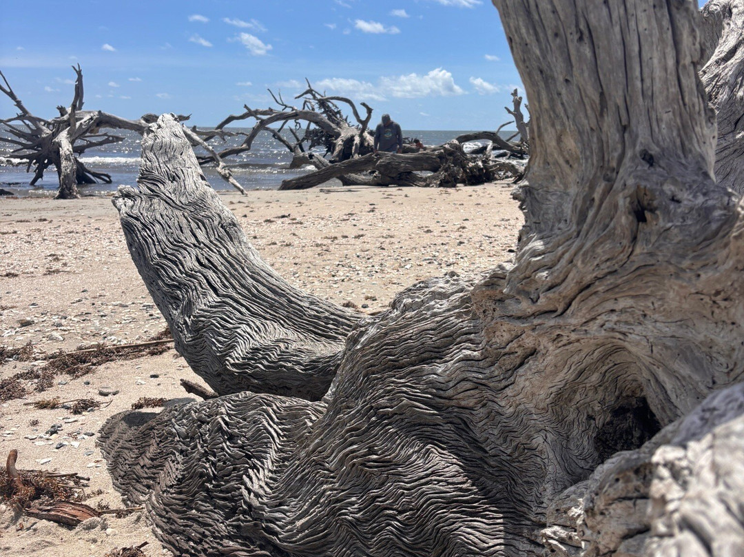Driftwood Beach-吉柯岛必去景点
