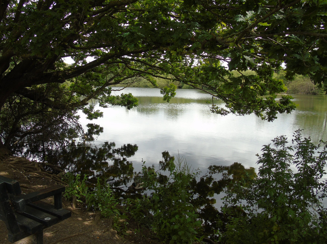Attenborough Nature Centre-Attenborough必去景点