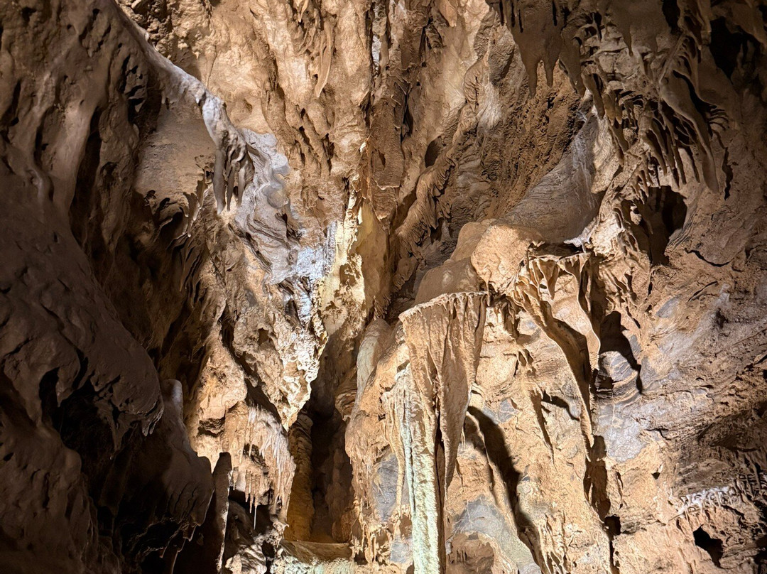 Forbidden Caverns-塞维尔维尔必去景点