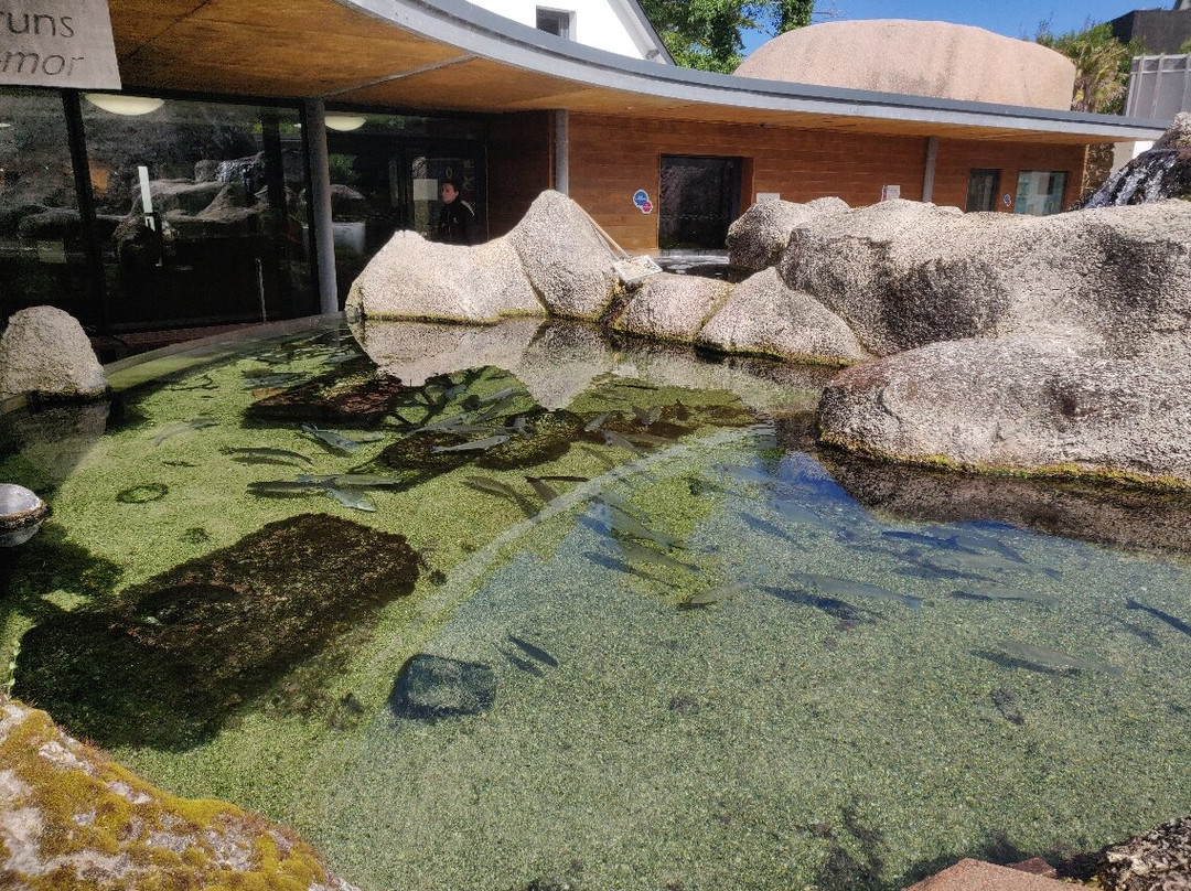 Aquarium Marin De Tregastel-Tregastel必去景点