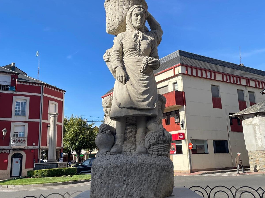 La Vino De Cacabelos