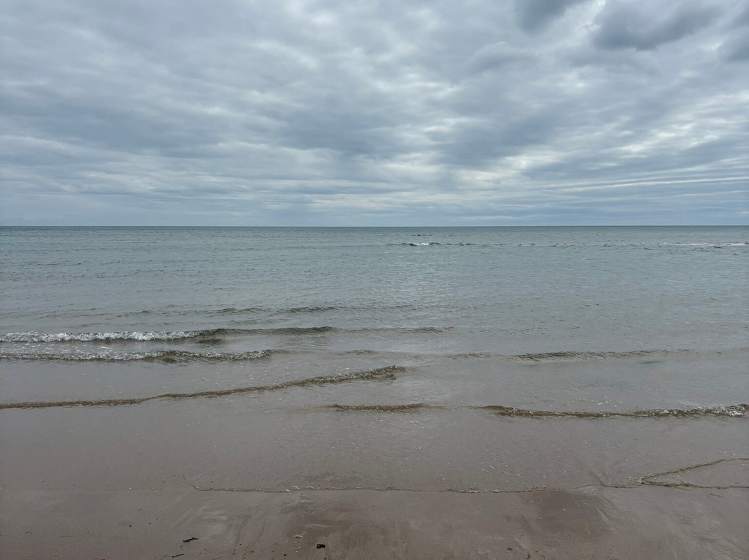 Alnmouth Beach-Alnmouth必去景点