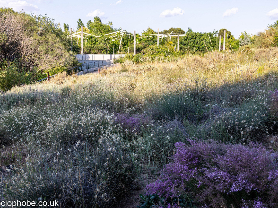 Jardin Botanico de Castilla-La Mancha-阿尔瓦塞特必去景点