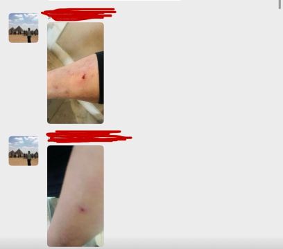 玛克阿尔巴尼亚酒店-旅行者