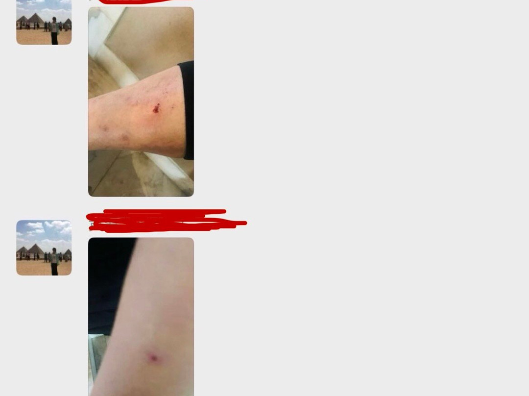 玛克阿尔巴尼亚酒店主图