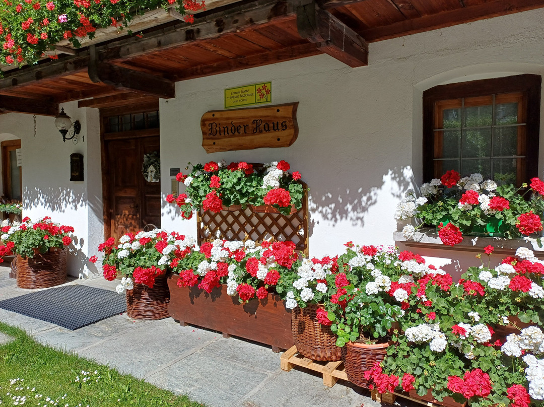 Centro Storico-Gressoney Saint Jean必去景点