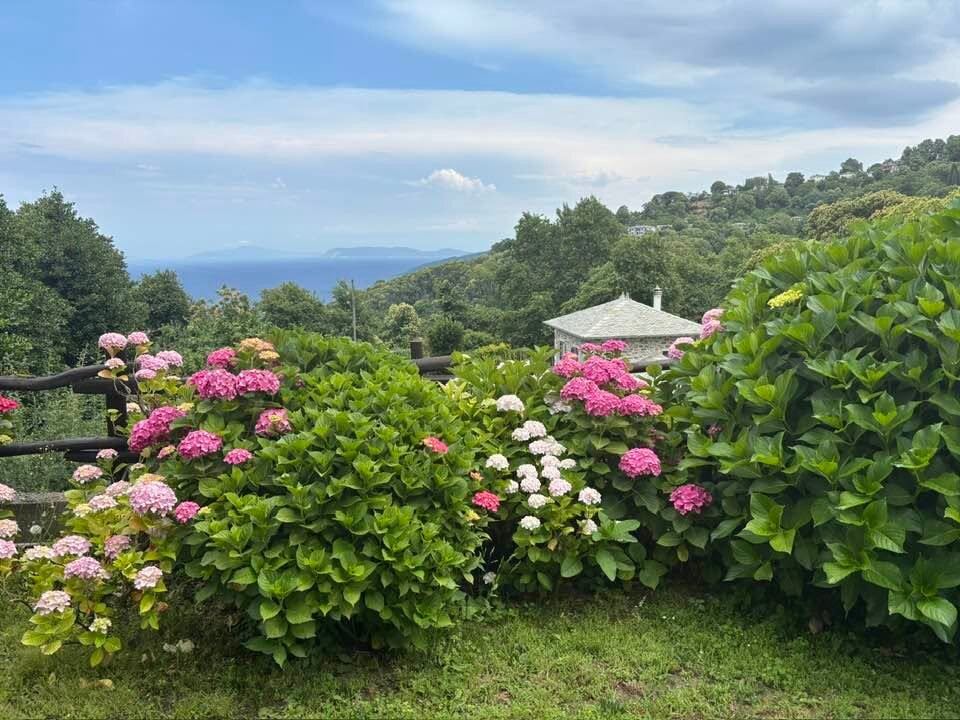亚曼尼塔旅馆-旅行者