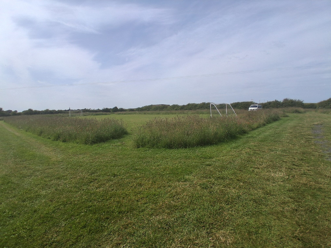 Parke Farm Camping
