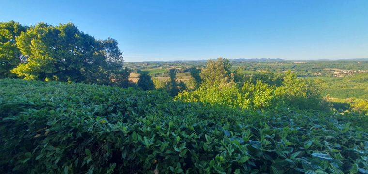 Borgo la Torre Alle Tolfe-旅行者