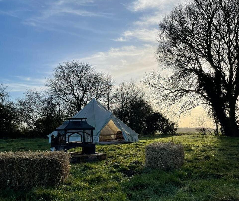 Happy Meadows - The Chick Inn