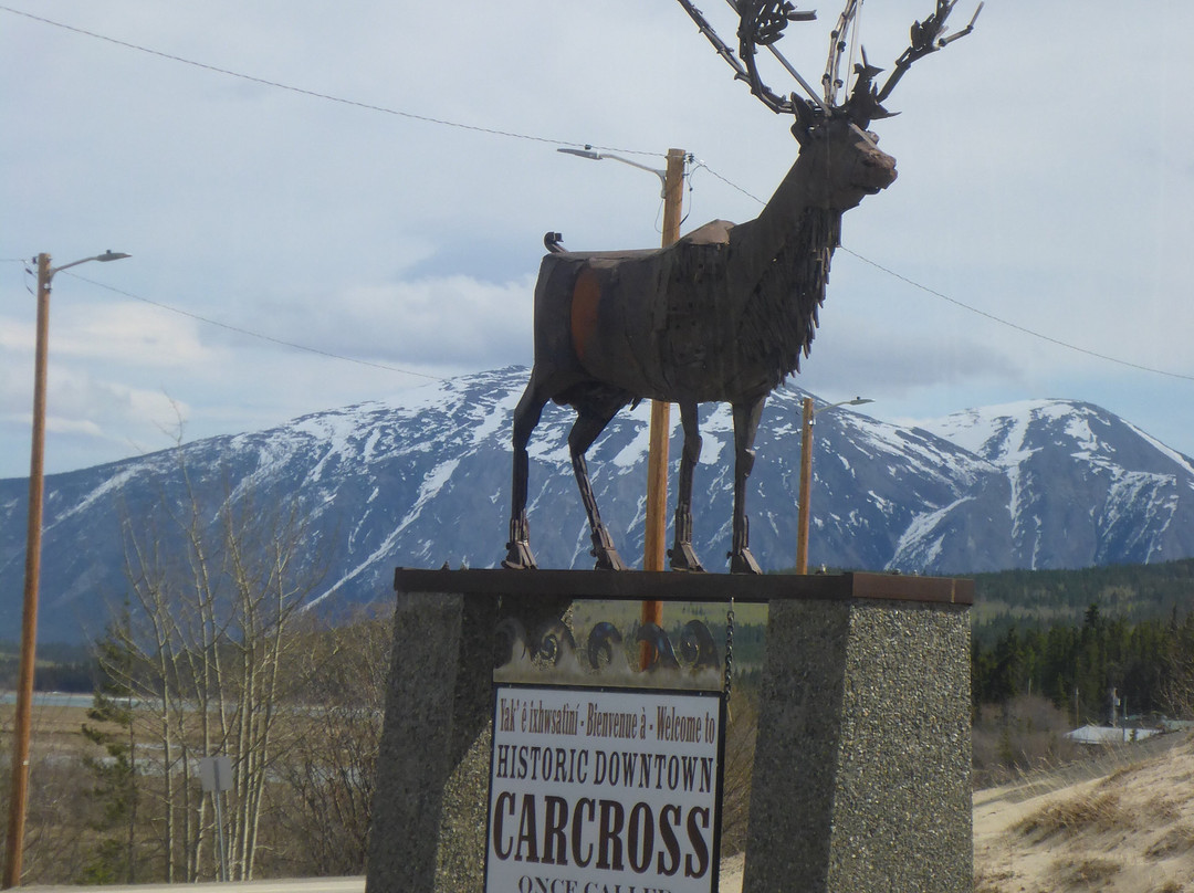 Carcross Commons-Carcross必去景点