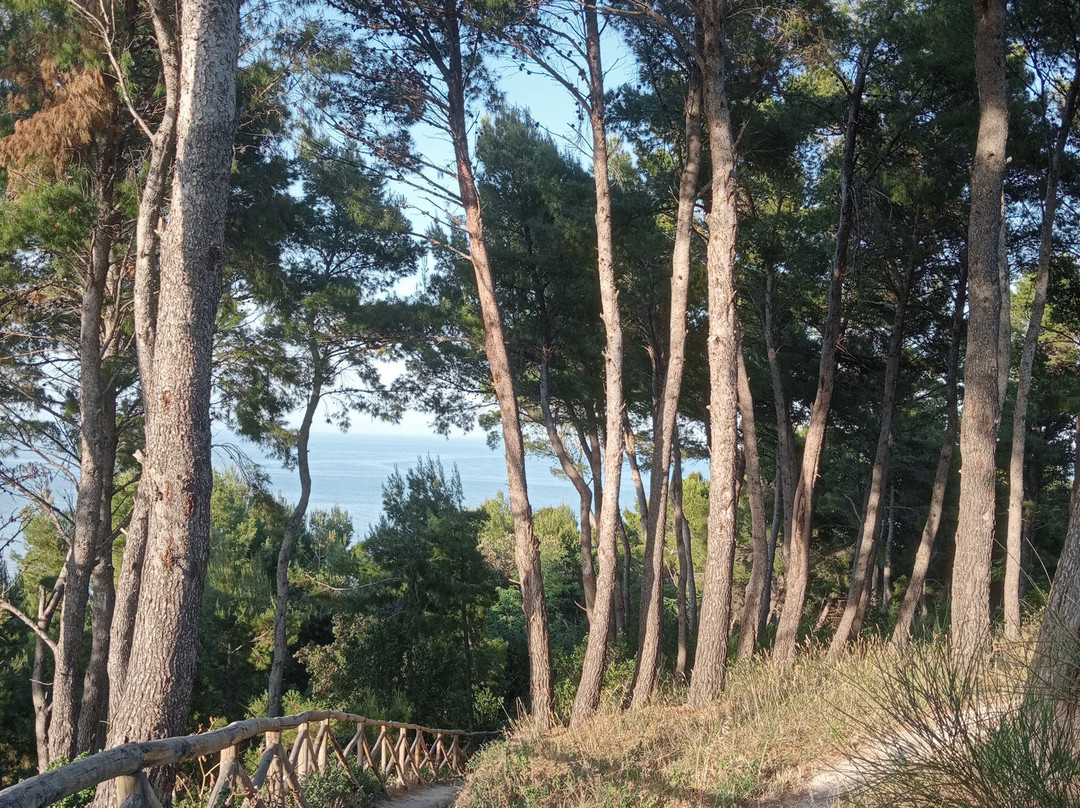 Hotel "Il Parco" B&B Sirolo主图