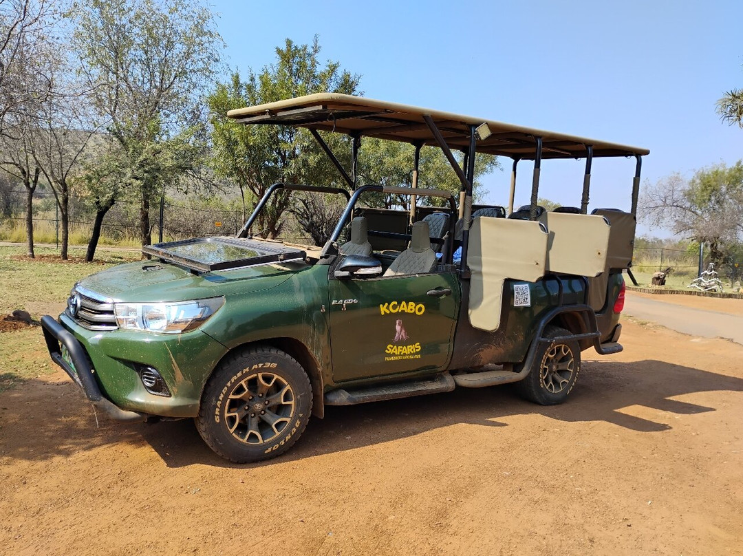 Pilanesberg National Park-太阳城必去景点
