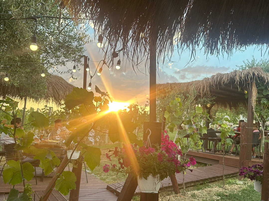 Abaia Winery & Vineyard-杜勒斯必去景点