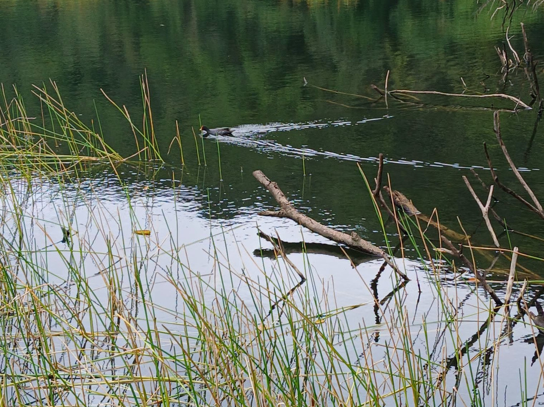Grand Etang-Capesterre-Belle-Eau必去景点