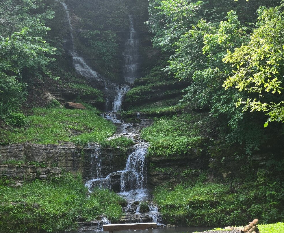 Dogwood Canyon Nature Park-Lampe必去景点