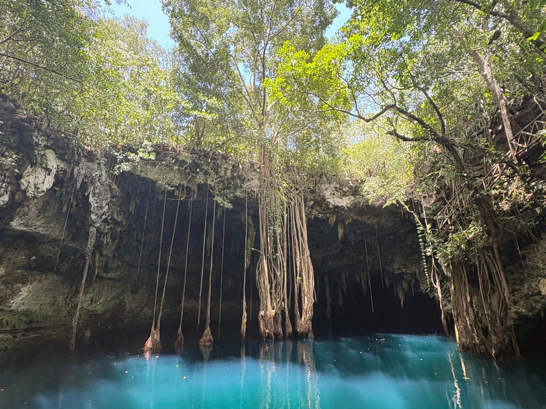 Experiencia Privada en Cenote Exclusivo-巴利亚多利德必去景点