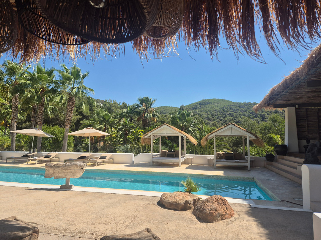 Pure House Ibiza主图