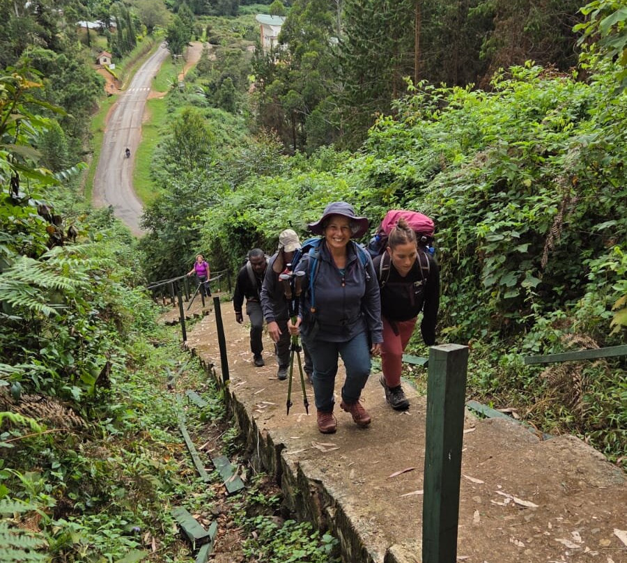 Usambara Eco Tours-卢绍托必去景点