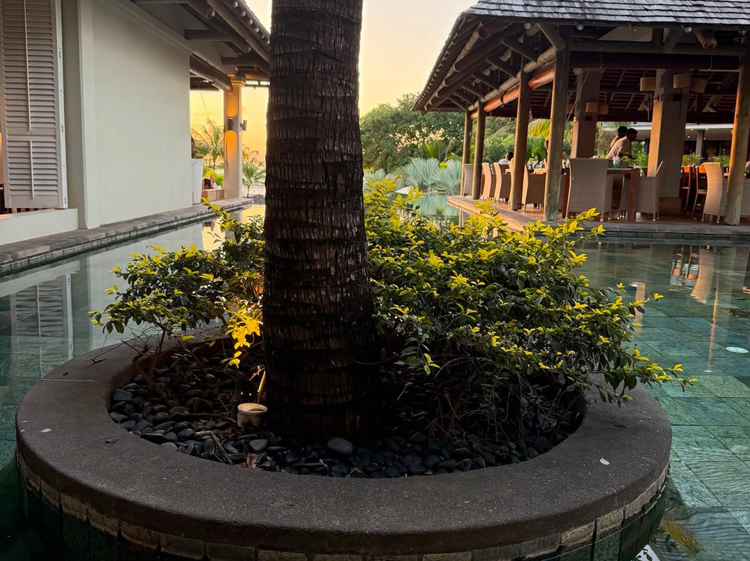 态度酒店-芝华主图