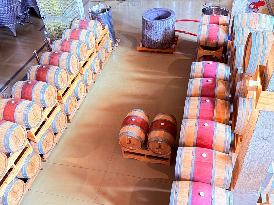 Van Ardi Winery-Sasunik必去景点