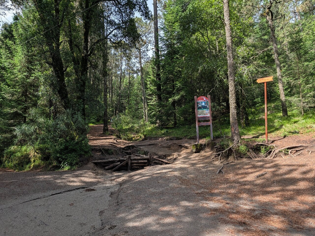 La Malinche National Park-Huamantla必去景点