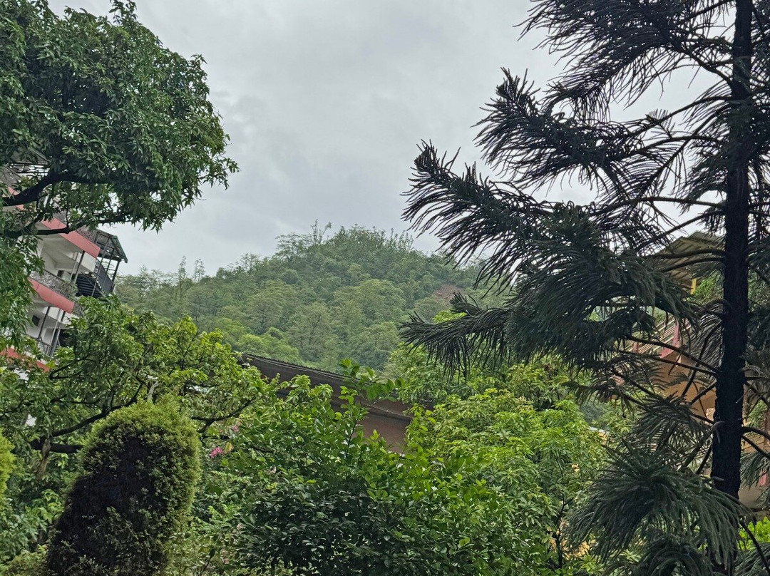 AYM Ayurveda School-里希克虚必去景点