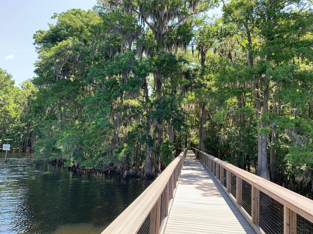 Manatee Springs State Park-Chiefland必去景点