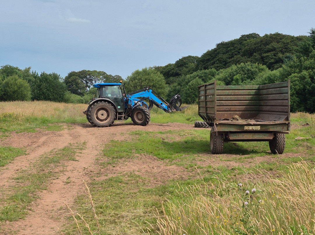 Real Farm Driving-Dalton必去景点
