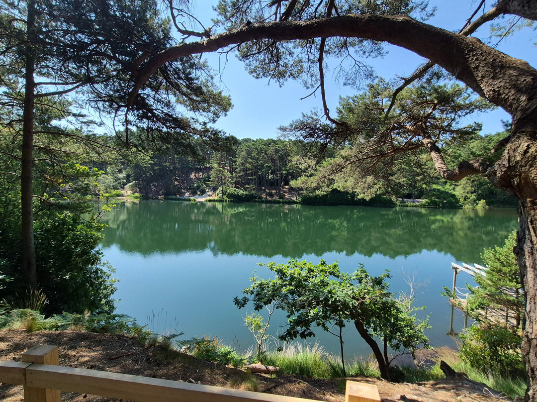 The Blue Pool-韦勒姆必去景点