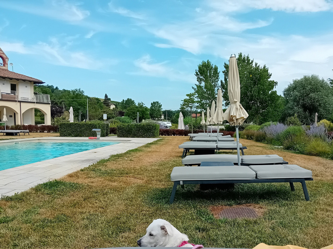 L'Aja Della Mirusina - Piedmont Resort Monferrato Langhe主图