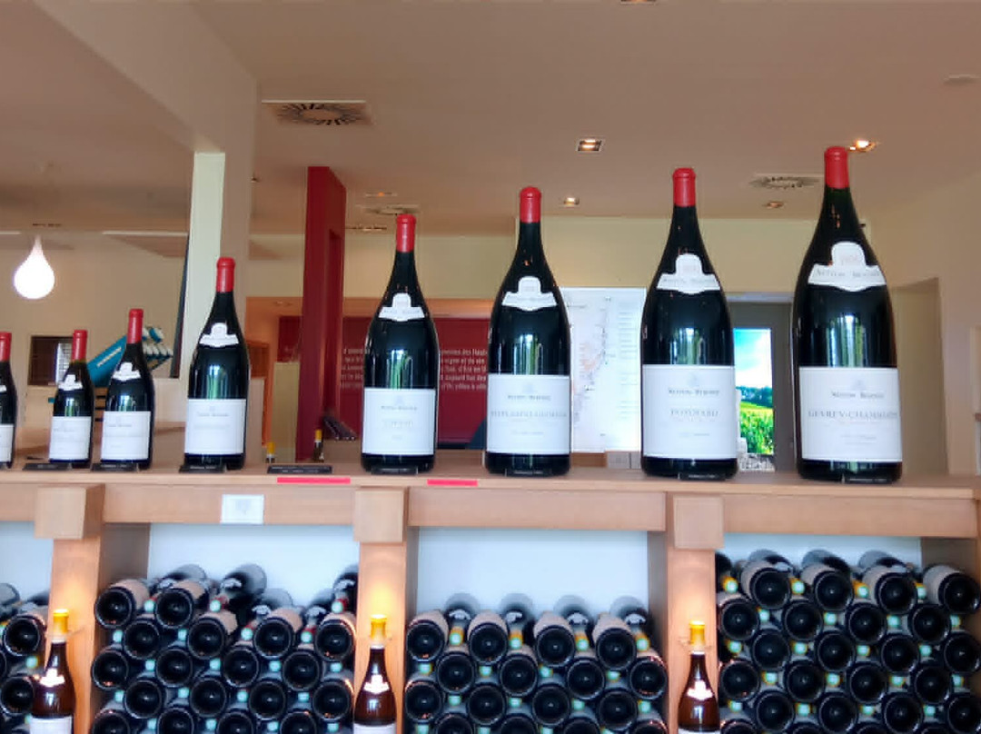 Nuiton-Beaunoy- Cave des Hautes-Côtes-博讷必去景点