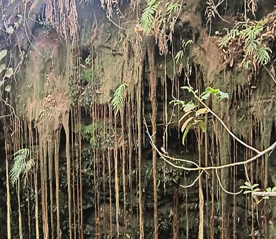 Cânion Sussuapara-Ponte Alta do Tocantins必去景点