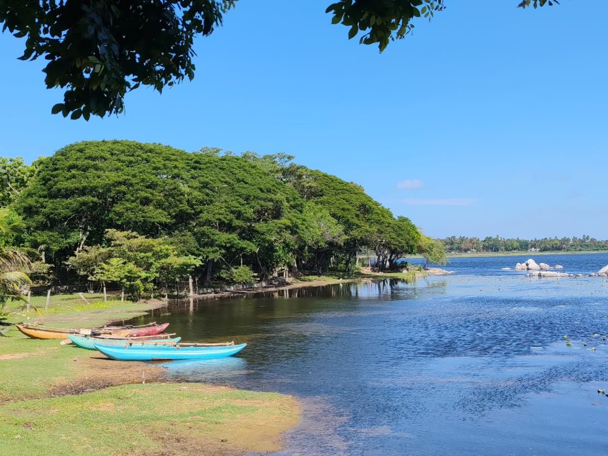 塔勒纯正阿育吠陀度假村-雅拉-旅行者