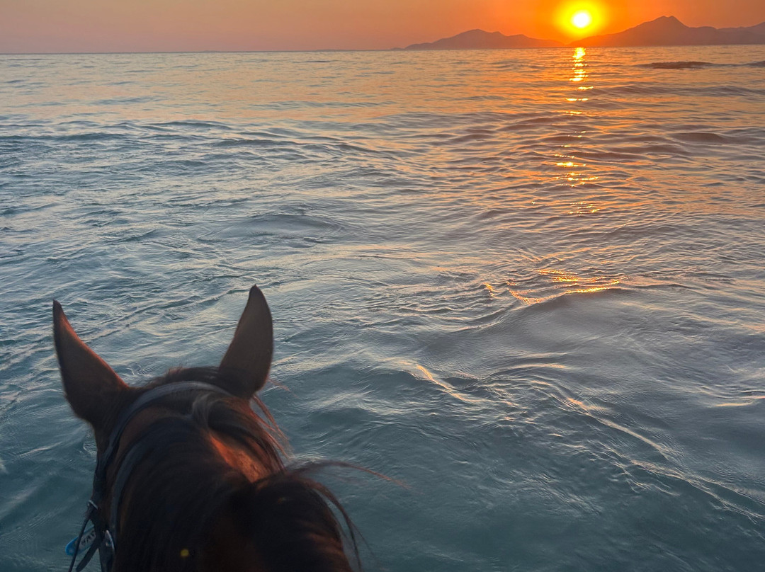 Erika's Horse Farm Kos-Marmari必去景点