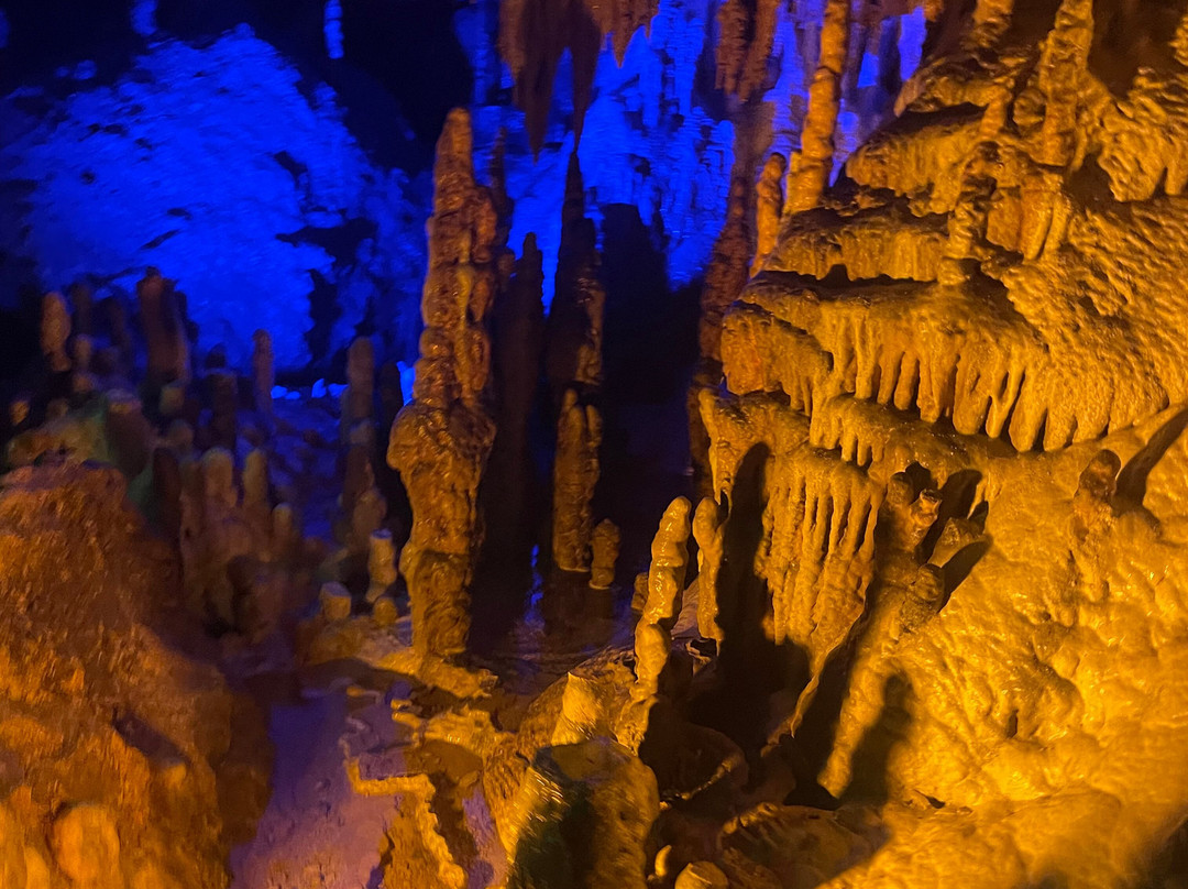 Florida Caverns State Park-Marianna必去景点