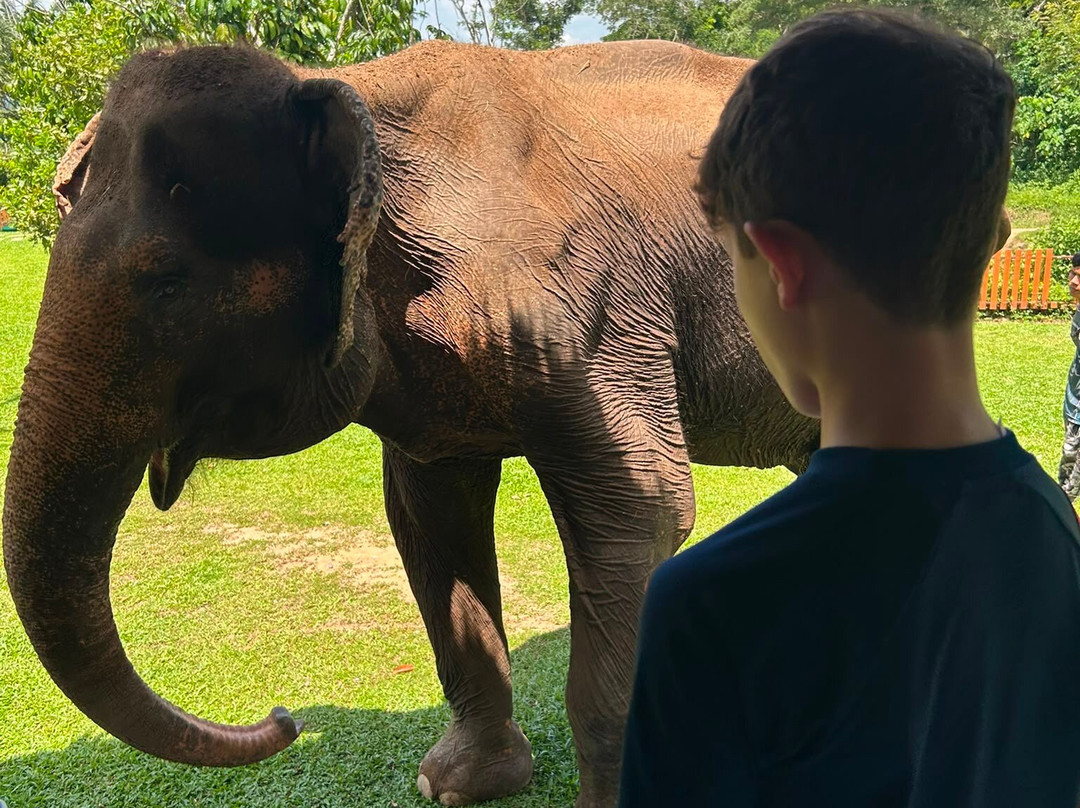 Phuket Elephant Nature Reserve-他朗必去景点