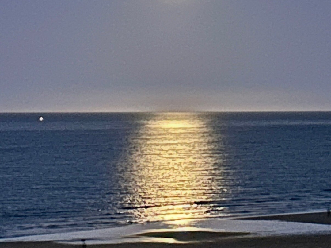 Long Sands Beach-泰恩茅斯必去景点