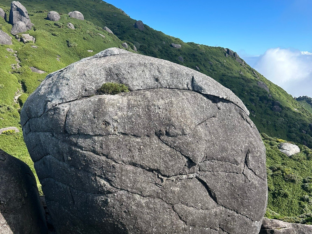 Mt. Miyanouradake-屋久岛町必去景点