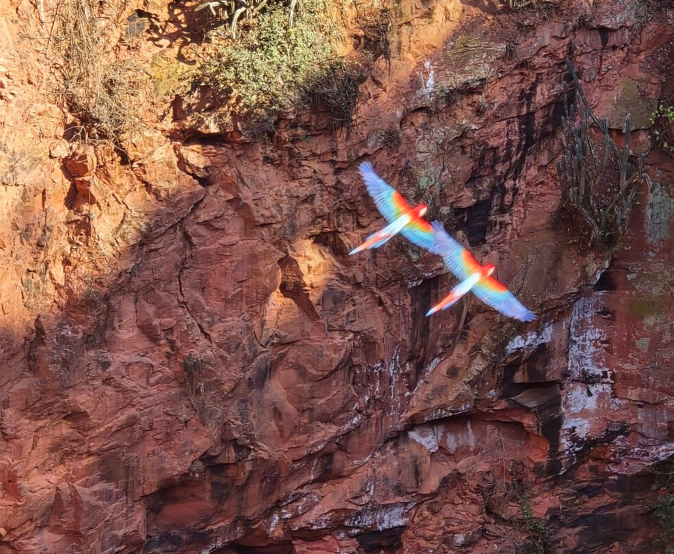 Buraco das Araras Ecoturismo-雅尔丁必去景点