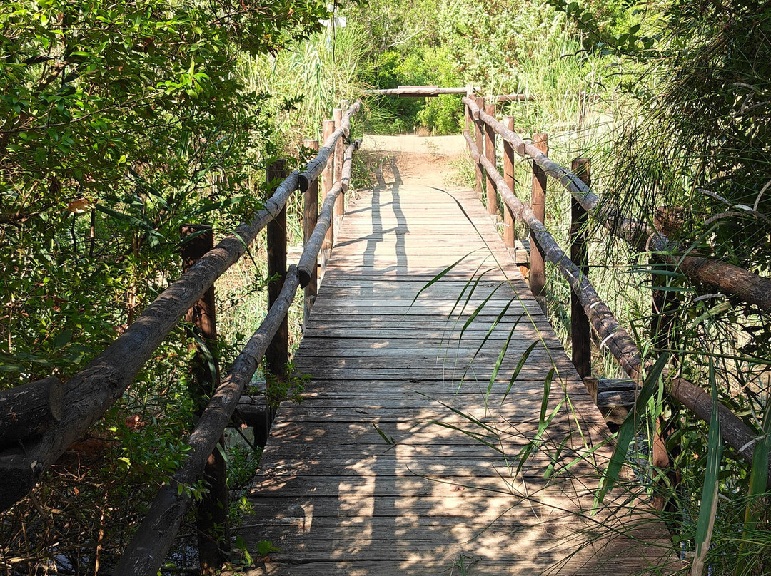 Parco Naturale della Maremma-Alberese必去景点