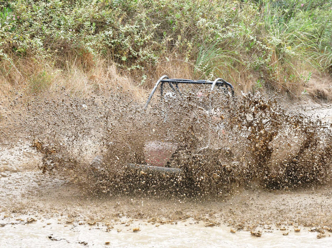 River Quad & Buggy Safari-西代必去景点