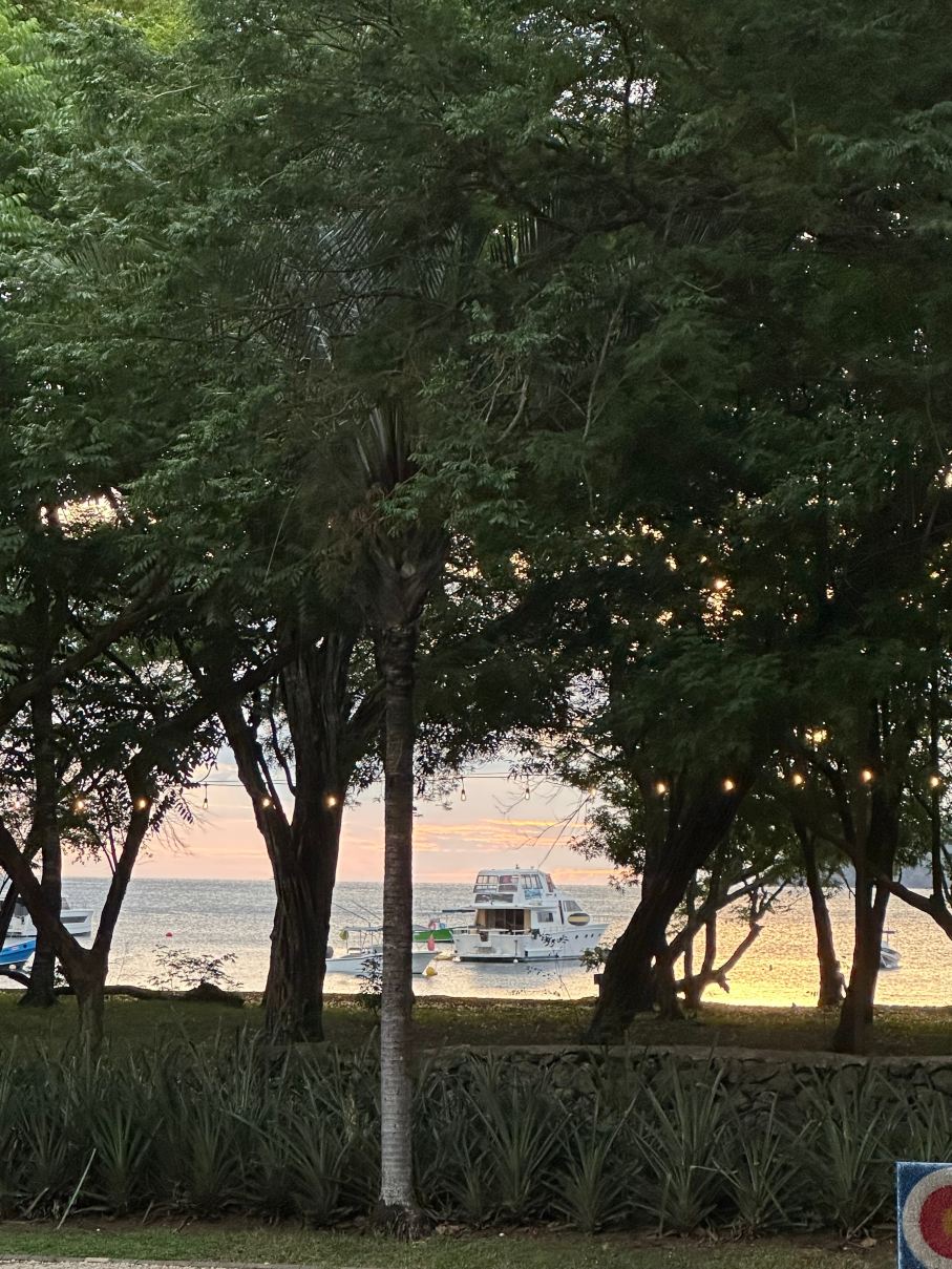 卡萨孔德海滨酒店-旅行者