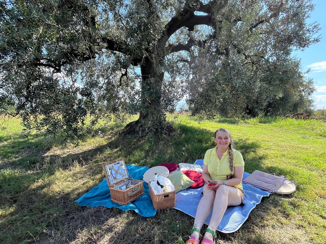 Olio Petrucci | Bio Sabina Dop-Fara in Sabina必去景点
